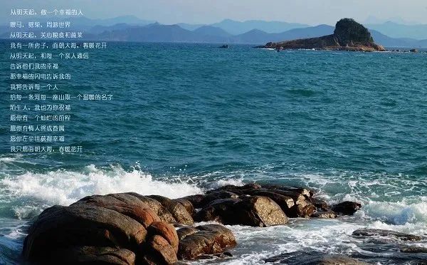 奔赴山海，不负热爱